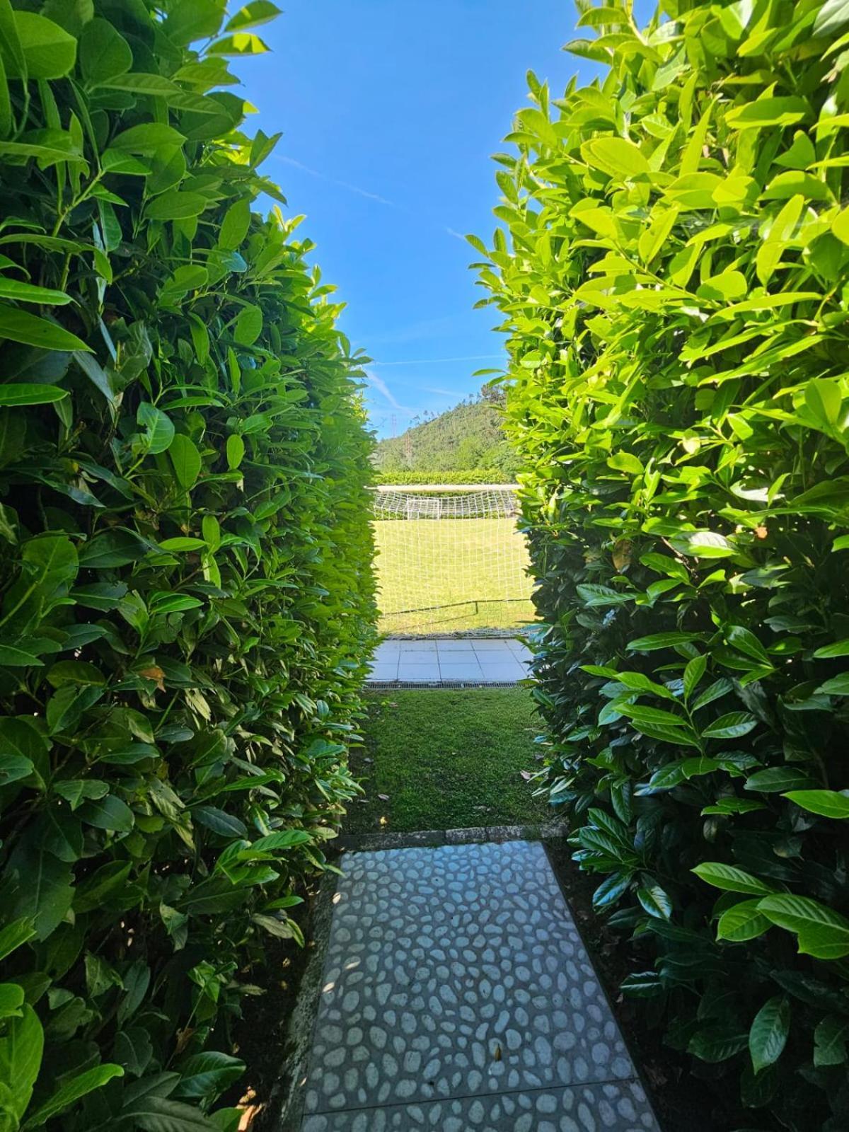 הוילה בוורינו Casa Rea חדר תמונה